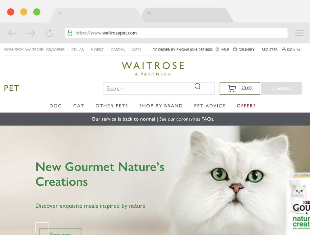 Pay Per Click Management BlackJackal